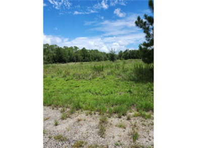 41 acre CORNER lot/homesite 110 by 150 feet that is ready to on Citrus Springs Country Club in Florida - for sale on GolfHomes.com, golf home, golf lot