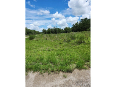 41 acre CORNER lot/homesite 110 by 150 feet that is ready to on Citrus Springs Country Club in Florida - for sale on GolfHomes.com, golf home, golf lot