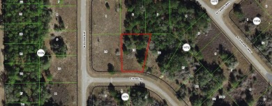35 acre lot/homesite 94 by 154 feet that is ready to build your on Citrus Springs Country Club in Florida - for sale on GolfHomes.com, golf home, golf lot