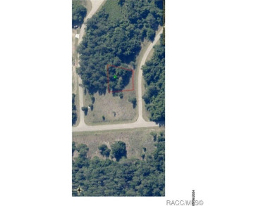 35 acre lot/homesite 94 by 154 feet that is ready to build your on Citrus Springs Country Club in Florida - for sale on GolfHomes.com, golf home, golf lot