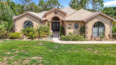 Stunning 3 bedrooms + office, 3 bath + 3 car garage Cabana Pool on Sugarmill Woods Golf and Country Club in Florida - for sale on GolfHomes.com, golf home, golf lot