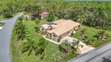 Stunning 3 bedrooms + office, 3 bath + 3 car garage Cabana Pool on Sugarmill Woods Golf and Country Club in Florida - for sale on GolfHomes.com, golf home, golf lot