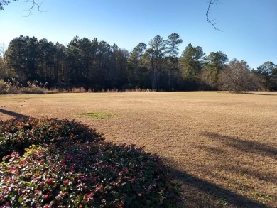 Beautiful corner, level, pond setting, building lot to build on Wyboo Golf Club in South Carolina - for sale on GolfHomes.com, golf home, golf lot