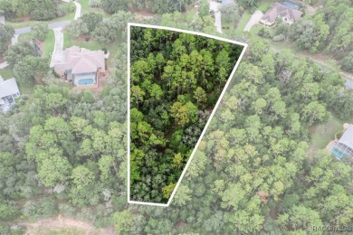 Build your dream home on this oversized lot. With 1.24 acres on Twisted Oaks Golf Club in Florida - for sale on GolfHomes.com, golf home, golf lot