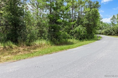 Build your dream home on this oversized lot. With 1.24 acres on Twisted Oaks Golf Club in Florida - for sale on GolfHomes.com, golf home, golf lot