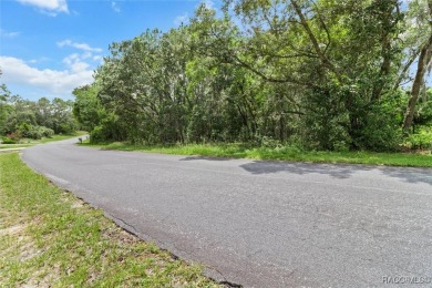 Build your dream home on this oversized lot. With 1.24 acres on Twisted Oaks Golf Club in Florida - for sale on GolfHomes.com, golf home, golf lot