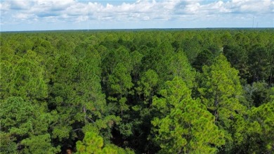 This stunning 0.76 acre homesite in Cooper's Point is a perfect on Sapelo Hammock Golf Club in Georgia - for sale on GolfHomes.com, golf home, golf lot