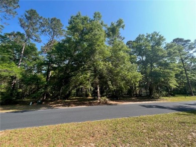 This stunning 0.76 acre homesite in Cooper's Point is a perfect on Sapelo Hammock Golf Club in Georgia - for sale on GolfHomes.com, golf home, golf lot