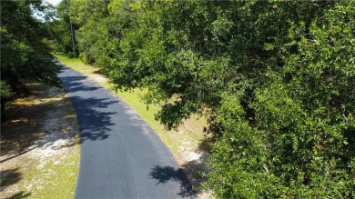 This stunning 0.76 acre homesite in Cooper's Point is a perfect on Sapelo Hammock Golf Club in Georgia - for sale on GolfHomes.com, golf home, golf lot