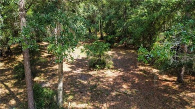 This stunning 0.76 acre homesite in Cooper's Point is a perfect on Sapelo Hammock Golf Club in Georgia - for sale on GolfHomes.com, golf home, golf lot