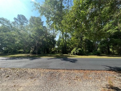 This stunning 0.76 acre homesite in Cooper's Point is a perfect on Sapelo Hammock Golf Club in Georgia - for sale on GolfHomes.com, golf home, golf lot