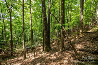 Experience mountain living at its finest in one of the most on High Vista Country Club in North Carolina - for sale on GolfHomes.com, golf home, golf lot