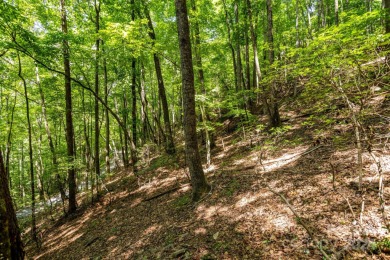 Experience mountain living at its finest in one of the most on High Vista Country Club in North Carolina - for sale on GolfHomes.com, golf home, golf lot