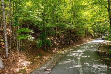 Experience mountain living at its finest in one of the most on High Vista Country Club in North Carolina - for sale on GolfHomes.com, golf home, golf lot