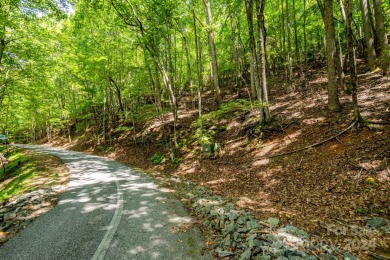 Experience mountain living at its finest in one of the most on High Vista Country Club in North Carolina - for sale on GolfHomes.com, golf home, golf lot