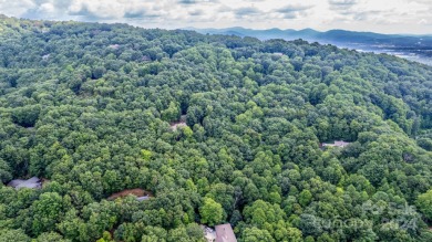 Experience mountain living at its finest in one of the most on High Vista Country Club in North Carolina - for sale on GolfHomes.com, golf home, golf lot