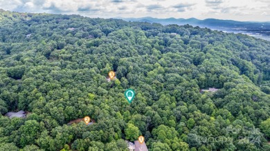 Experience mountain living at its finest in one of the most on High Vista Country Club in North Carolina - for sale on GolfHomes.com, golf home, golf lot