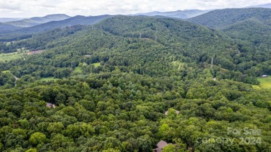 Experience mountain living at its finest in one of the most on High Vista Country Club in North Carolina - for sale on GolfHomes.com, golf home, golf lot