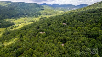 Experience mountain living at its finest in one of the most on High Vista Country Club in North Carolina - for sale on GolfHomes.com, golf home, golf lot