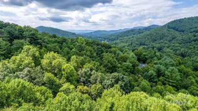 Experience mountain living at its finest in one of the most on High Vista Country Club in North Carolina - for sale on GolfHomes.com, golf home, golf lot