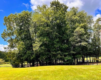 NOW is the TIME to own your slice of PARADISE! This STUNNING on The Frog Golf Club in Georgia - for sale on GolfHomes.com, golf home, golf lot