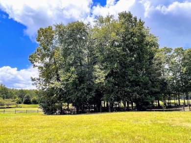 NOW is the TIME to own your slice of PARADISE! This STUNNING on The Frog Golf Club in Georgia - for sale on GolfHomes.com, golf home, golf lot