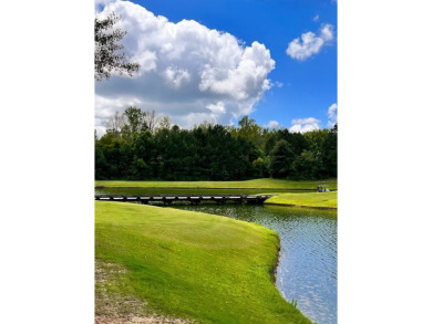 NOW is the TIME to own your slice of PARADISE! This STUNNING on The Frog Golf Club in Georgia - for sale on GolfHomes.com, golf home, golf lot