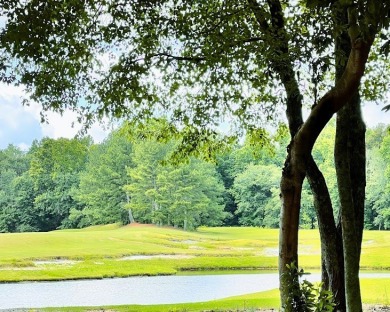 NOW is the TIME to own your slice of PARADISE! This STUNNING on The Frog Golf Club in Georgia - for sale on GolfHomes.com, golf home, golf lot