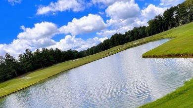 NOW is the TIME to own your slice of PARADISE! This STUNNING on The Frog Golf Club in Georgia - for sale on GolfHomes.com, golf home, golf lot