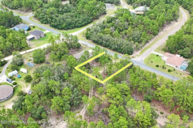 Build Your Dream Home on this Prime 10,000 sq ft Lot in Citrus on Citrus Springs Country Club in Florida - for sale on GolfHomes.com, golf home, golf lot