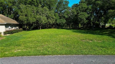 MAKE AN OFFER! Beautiful Corner lot in Black Diamond on Black Diamond Ranch Golf Course in Florida - for sale on GolfHomes.com, golf home, golf lot