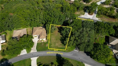 MAKE AN OFFER! Beautiful Corner lot in Black Diamond on Black Diamond Ranch Golf Course in Florida - for sale on GolfHomes.com, golf home, golf lot