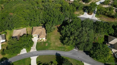 MAKE AN OFFER! Beautiful Corner lot in Black Diamond on Black Diamond Ranch Golf Course in Florida - for sale on GolfHomes.com, golf home, golf lot