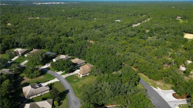 MAKE AN OFFER! Beautiful Corner lot in Black Diamond on Black Diamond Ranch Golf Course in Florida - for sale on GolfHomes.com, golf home, golf lot