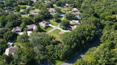 MAKE AN OFFER! Beautiful Corner lot in Black Diamond on Black Diamond Ranch Golf Course in Florida - for sale on GolfHomes.com, golf home, golf lot