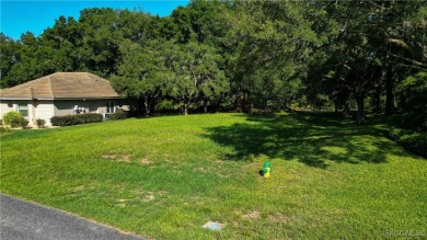 MAKE AN OFFER! Beautiful Corner lot in Black Diamond on Black Diamond Ranch Golf Course in Florida - for sale on GolfHomes.com, golf home, golf lot