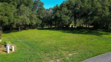 MAKE AN OFFER! Beautiful Corner lot in Black Diamond on Black Diamond Ranch Golf Course in Florida - for sale on GolfHomes.com, golf home, golf lot