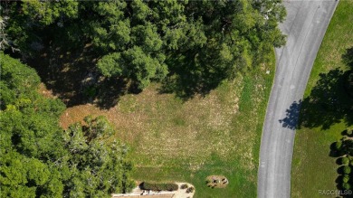 MAKE AN OFFER! Beautiful Corner lot in Black Diamond on Black Diamond Ranch Golf Course in Florida - for sale on GolfHomes.com, golf home, golf lot