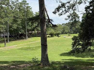 INDIAN HILLS GOLF COURSE BEAUTY!!  Step into the entryway & be on Indian Hills Country Club in Arkansas - for sale on GolfHomes.com, golf home, golf lot