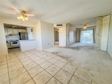 Investment Opportunity in Bradenton's Pinebrook Ironwood Golf on Pinebrook/Ironwood Golf Course in Florida - for sale on GolfHomes.com, golf home, golf lot