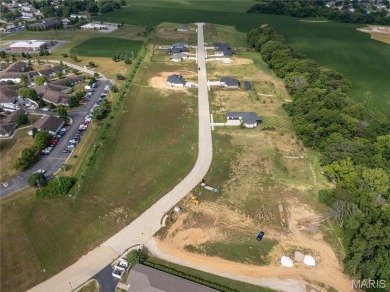 Large residential building lots situated on Legacy Drive in on The Ridge Golf Course in Illinois - for sale on GolfHomes.com, golf home, golf lot