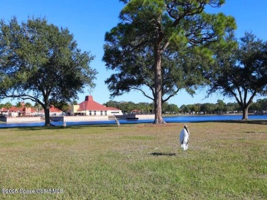 You have to check this one out! Chipewa Drive is one the BEST on Barefoot Bay Golf Course in Florida - for sale on GolfHomes.com, golf home, golf lot