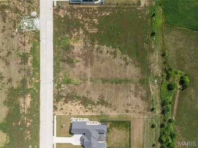 Large residential building lots situated on Legacy Drive in on The Ridge Golf Course in Illinois - for sale on GolfHomes.com, golf home, golf lot