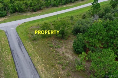 Discover the perfect opportunity to build your dream home on on Citrus Springs Country Club in Florida - for sale on GolfHomes.com, golf home, golf lot