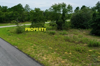 Discover the perfect opportunity to build your dream home on on Citrus Springs Country Club in Florida - for sale on GolfHomes.com, golf home, golf lot