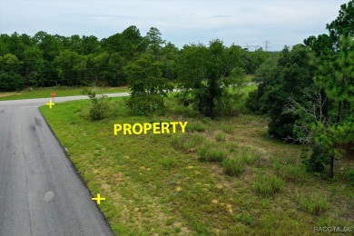 Discover the perfect opportunity to build your dream home on on Citrus Springs Country Club in Florida - for sale on GolfHomes.com, golf home, golf lot