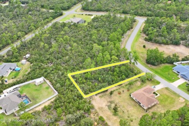 Serene 0.58-Acre Homesite in Citrus Springs - Ready for Your on Citrus Springs Country Club in Florida - for sale on GolfHomes.com, golf home, golf lot