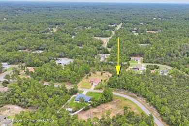 Serene 0.58-Acre Homesite in Citrus Springs - Ready for Your on Citrus Springs Country Club in Florida - for sale on GolfHomes.com, golf home, golf lot