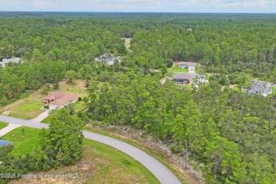 Serene 0.58-Acre Homesite in Citrus Springs - Ready for Your on Citrus Springs Country Club in Florida - for sale on GolfHomes.com, golf home, golf lot