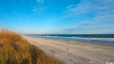 Beautiful Fully Furnished 3-bedroom, 2-bathroom end-unit Condo on Blackmoor Golf Club in South Carolina - for sale on GolfHomes.com, golf home, golf lot